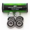 Lucky Scooters LuckySpeed Bearing Set